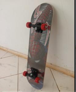 Skate board