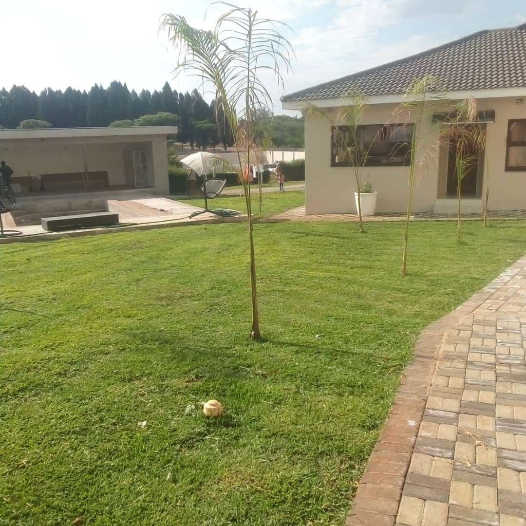 INSTANT LAWN, INSTANT GREEN! 🌳🏠